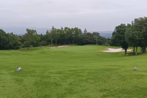 PAR4　を　PAR3　
