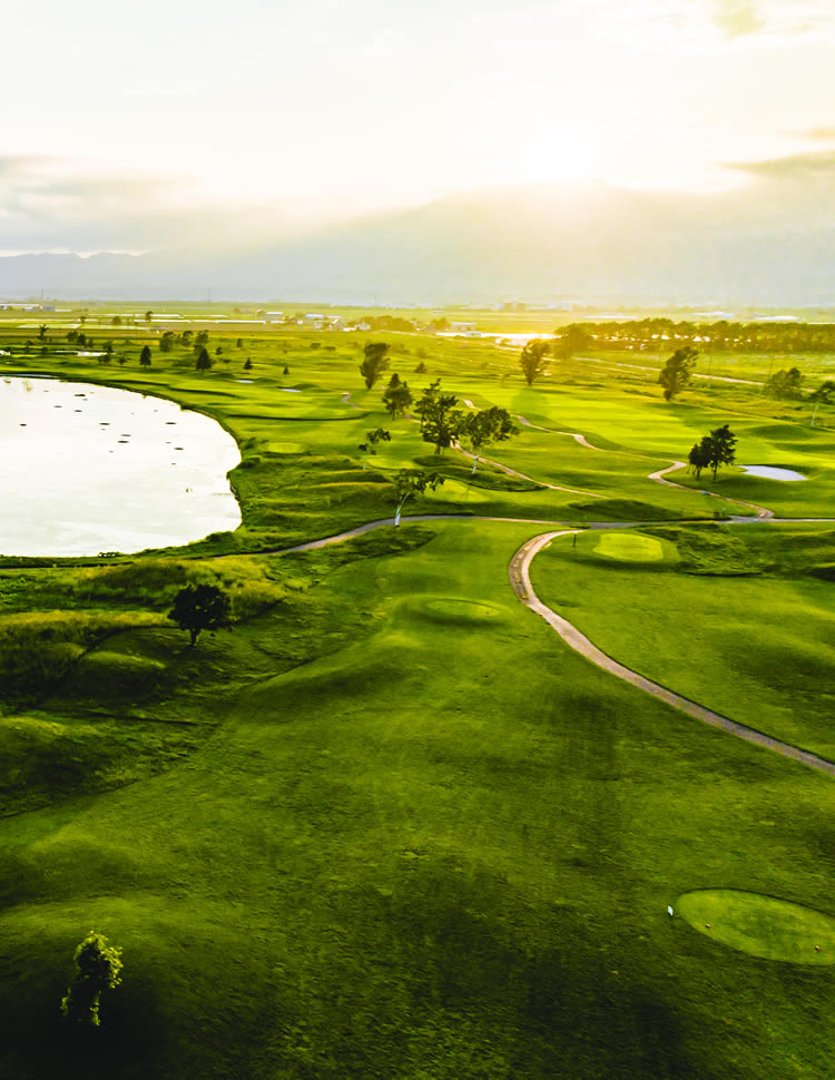 James Depas 風景画 145/225 限定版 ゴルフコースの風景 James Depas