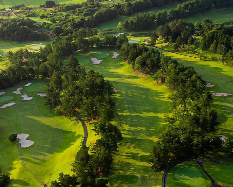 コース | 茨城 ゴルフ5カントリー かさまフォレスト