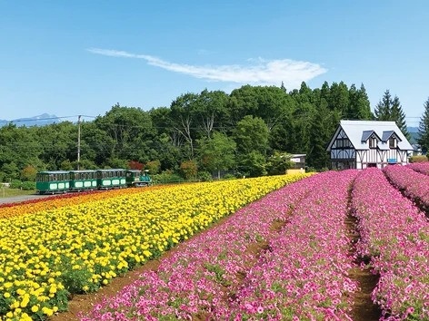 ひるがの高原「牧歌の里」