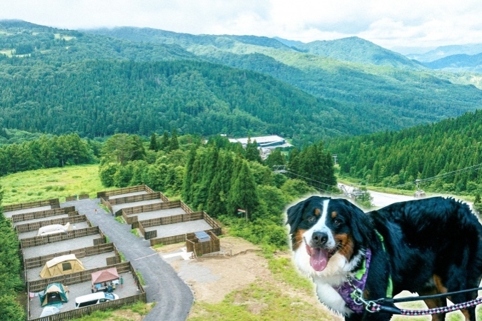 愛知・岐阜から好アクセス！ノーリードで過ごせる柵付きペットサイト＆新ドッグラン・川遊び・犬連れグランピング完備の「Alpen Outdoors しろとりフィールド」を徹底解説