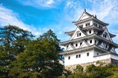 郡上八幡から「しろとりフィールド」へ。岐阜の自然と歴史を満喫！